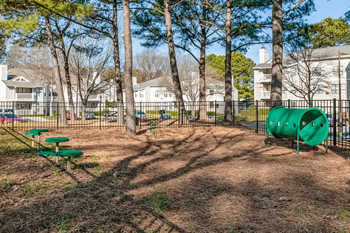 Dog run